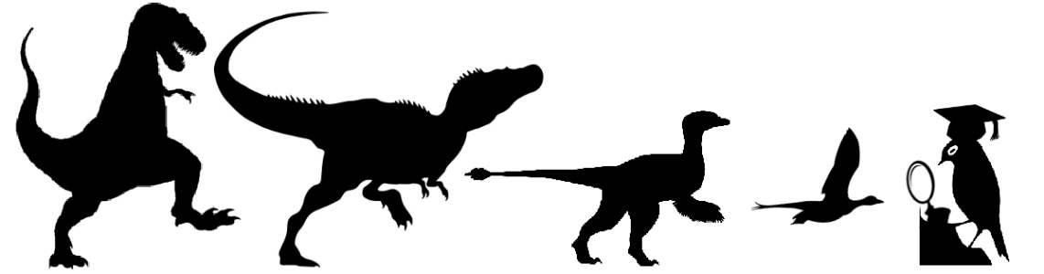 Evolution: it's for the birds